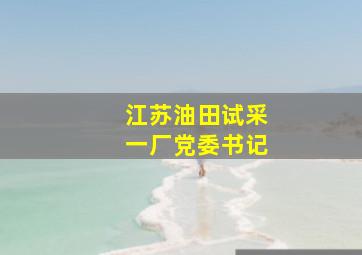 江苏油田试采一厂党委书记