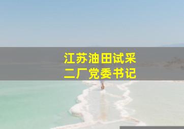 江苏油田试采二厂党委书记