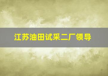 江苏油田试采二厂领导