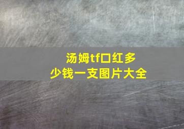 汤姆tf口红多少钱一支图片大全