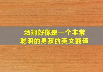 汤姆好像是一个非常聪明的男孩的英文翻译