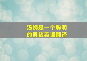 汤姆是一个聪明的男孩英语翻译