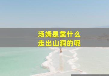 汤姆是靠什么走出山洞的呢