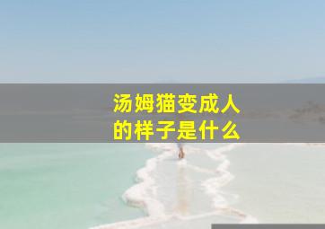 汤姆猫变成人的样子是什么