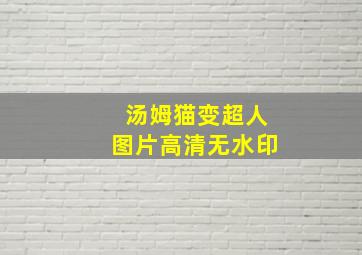 汤姆猫变超人图片高清无水印