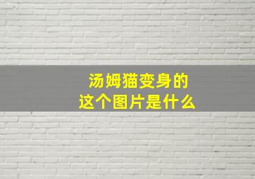 汤姆猫变身的这个图片是什么