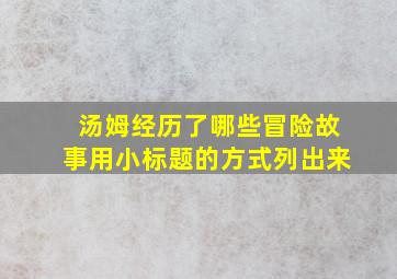 汤姆经历了哪些冒险故事用小标题的方式列出来