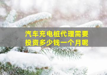 汽车充电桩代理需要投资多少钱一个月呢