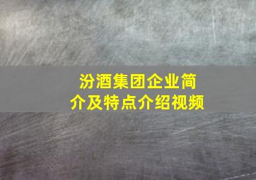 汾酒集团企业简介及特点介绍视频