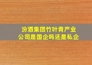 汾酒集团竹叶青产业公司是国企吗还是私企