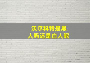 沃尔科特是黑人吗还是白人呢