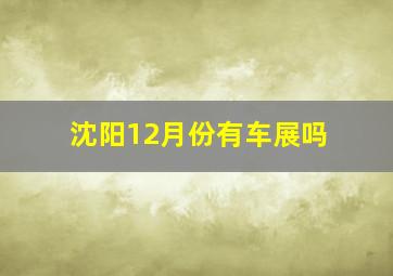 沈阳12月份有车展吗