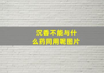 沉香不能与什么药同用呢图片