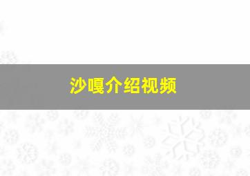 沙嘎介绍视频