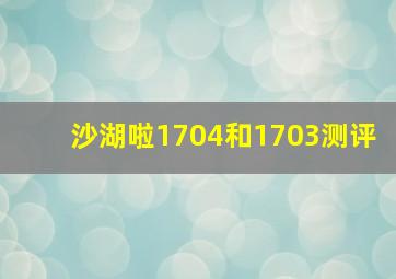 沙湖啦1704和1703测评