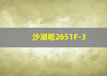 沙湖啦2651F-3