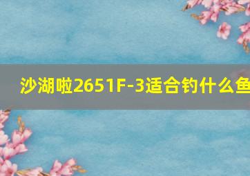 沙湖啦2651F-3适合钓什么鱼