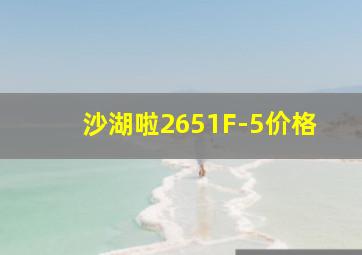 沙湖啦2651F-5价格