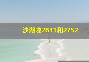 沙湖啦2831和2752