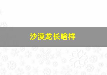 沙漠龙长啥样