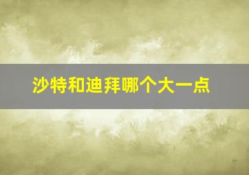 沙特和迪拜哪个大一点