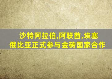 沙特阿拉伯,阿联酋,埃塞俄比亚正式参与金砖国家合作