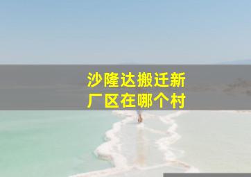 沙隆达搬迁新厂区在哪个村