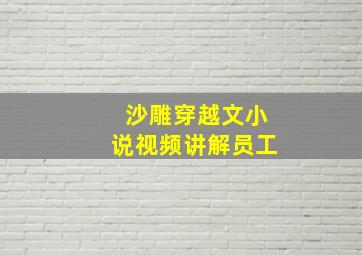 沙雕穿越文小说视频讲解员工