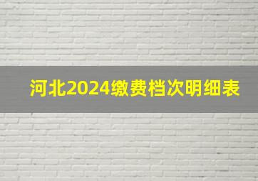 河北2024缴费档次明细表