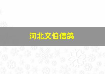 河北文伯信鸽