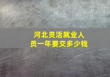 河北灵活就业人员一年要交多少钱