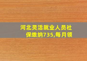 河北灵活就业人员社保缴纳735,每月领