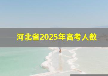 河北省2025年高考人数