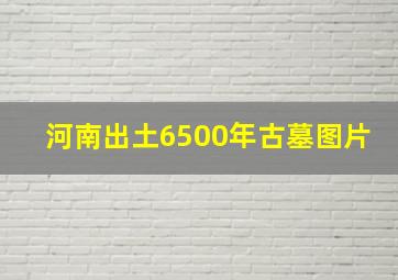 河南出土6500年古墓图片