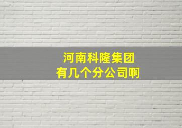 河南科隆集团有几个分公司啊