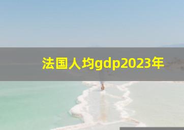 法国人均gdp2023年