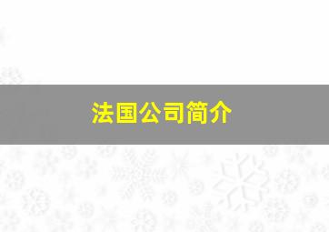 法国公司简介