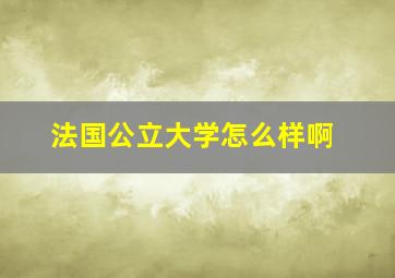 法国公立大学怎么样啊