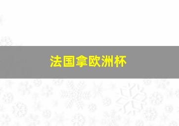 法国拿欧洲杯