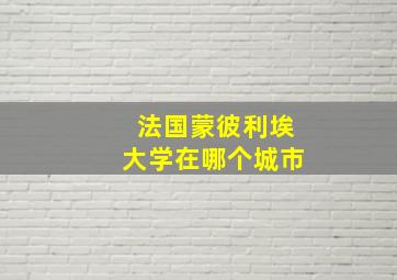 法国蒙彼利埃大学在哪个城市