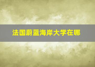 法国蔚蓝海岸大学在哪