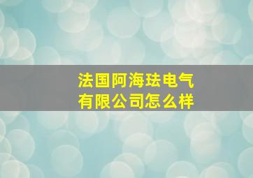 法国阿海珐电气有限公司怎么样