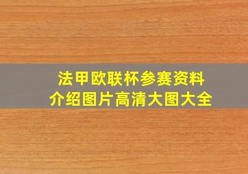 法甲欧联杯参赛资料介绍图片高清大图大全