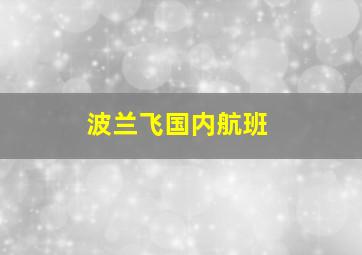 波兰飞国内航班