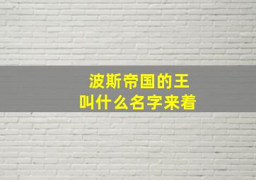 波斯帝国的王叫什么名字来着