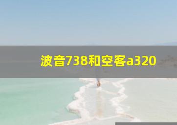 波音738和空客a320