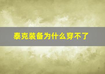 泰克装备为什么穿不了