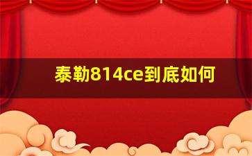 泰勒814ce到底如何