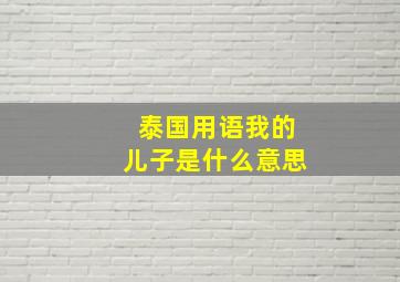 泰国用语我的儿子是什么意思