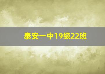 泰安一中19级22班